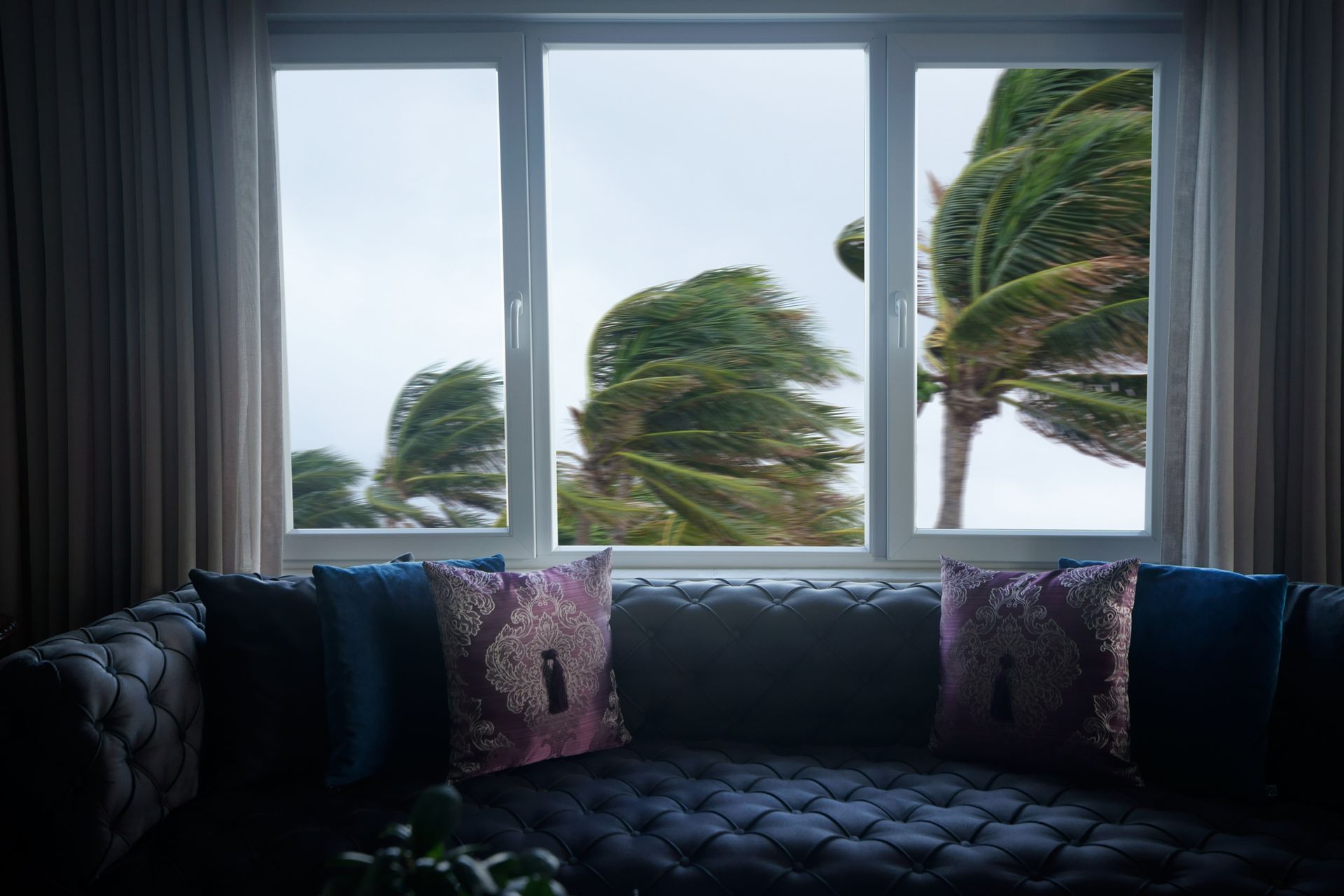 An indoor view of a window and waving palm trees in a windy tropical storm.