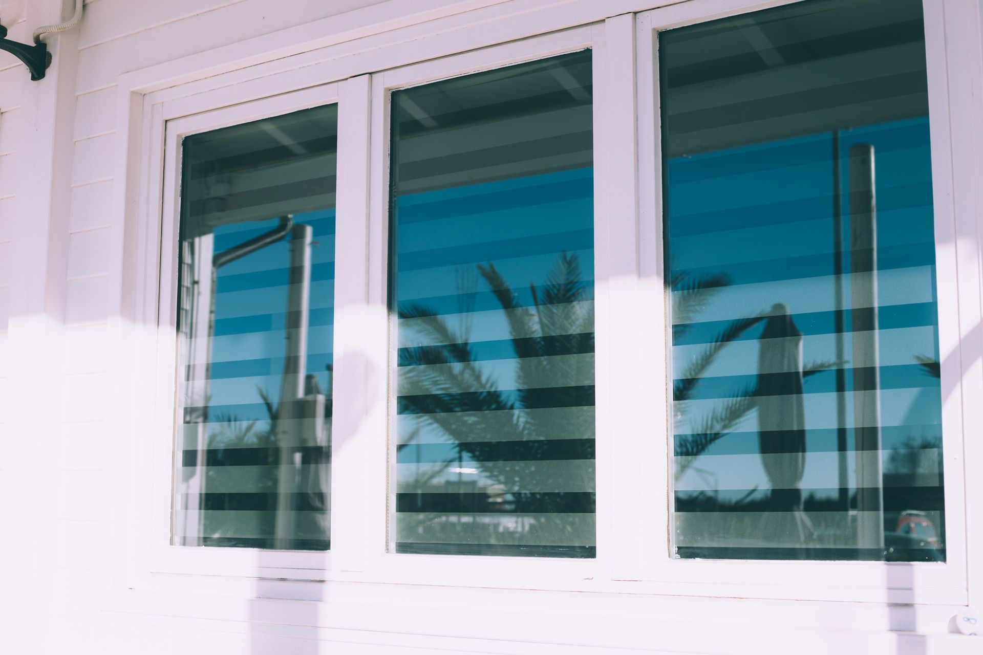 Palm trees in a white-bordered window's reflection.