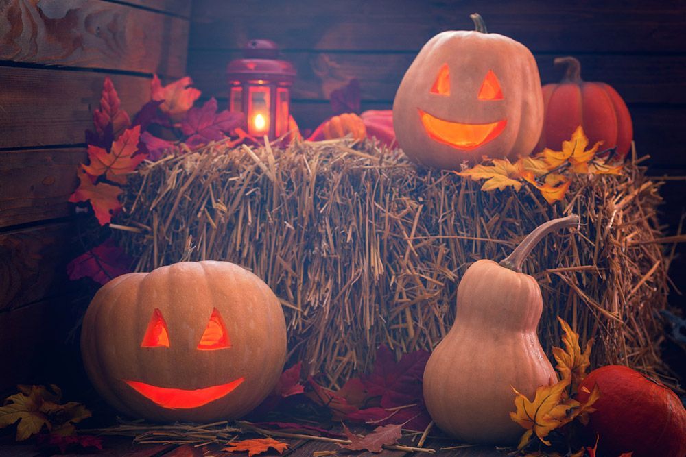 Halloween scene: jack-o'-lanterns, lit lantern, autumn leaves, and pumpkins on hay bale.