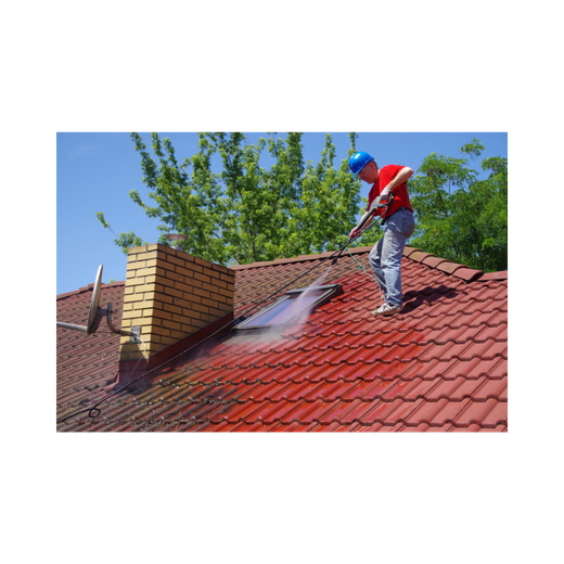 roof cleaning seattle