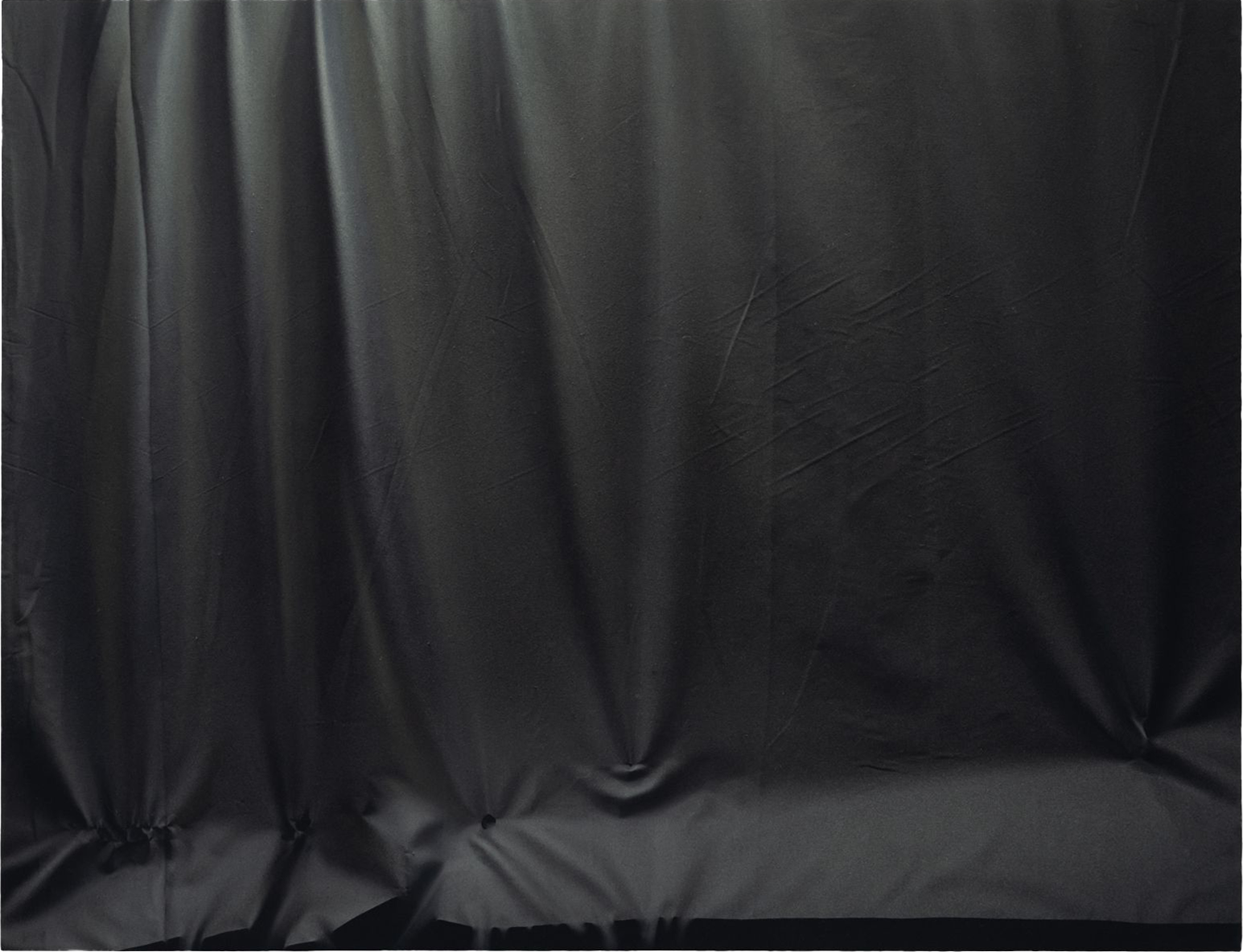 Reiko Kinoshita Japanese contemporary painting