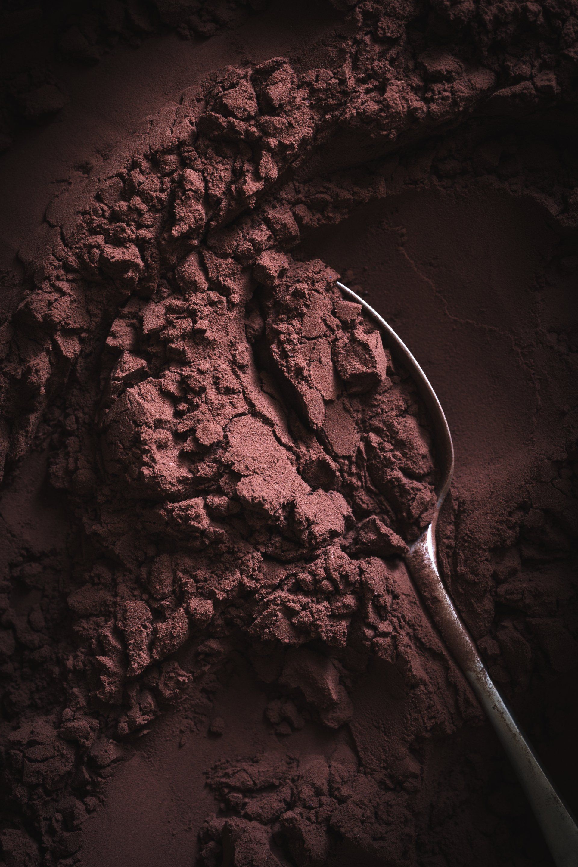Food photography – Cocoa powder