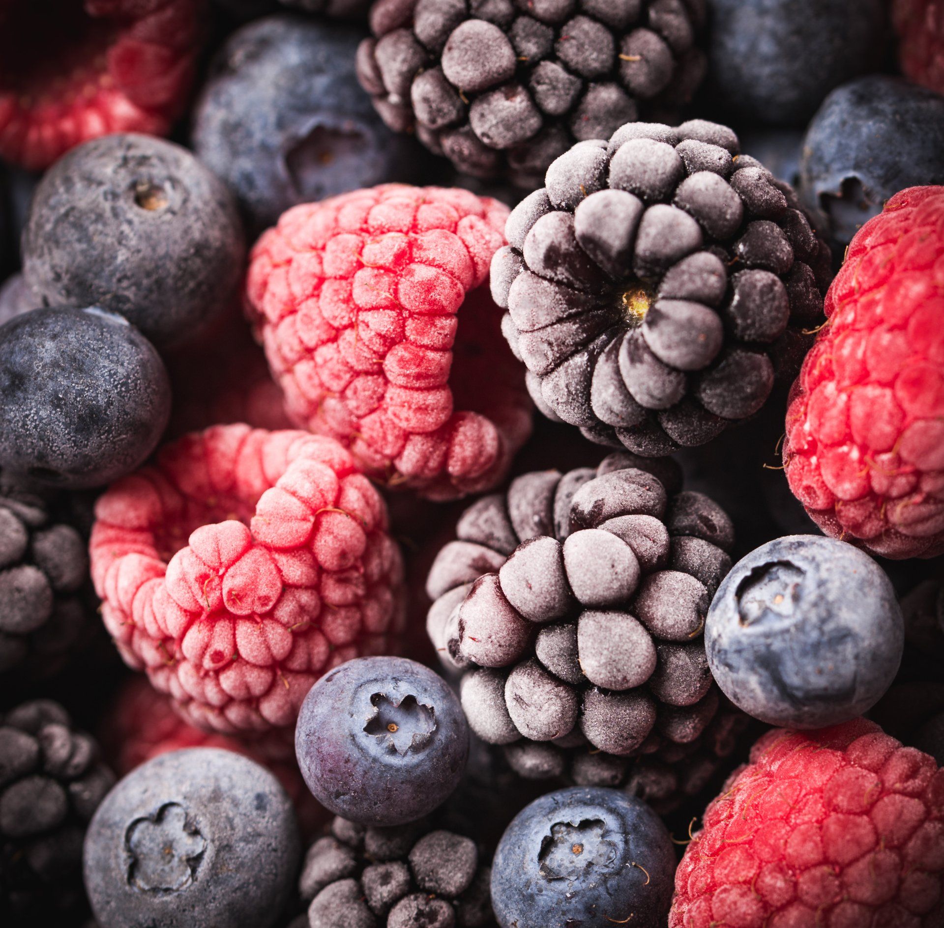 Food photography – Frozen berries