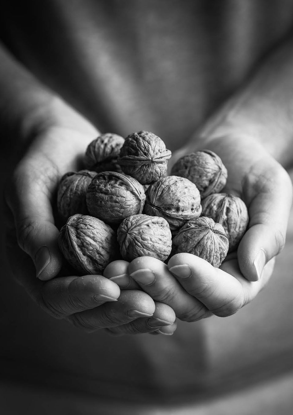 Food photography – walnuts