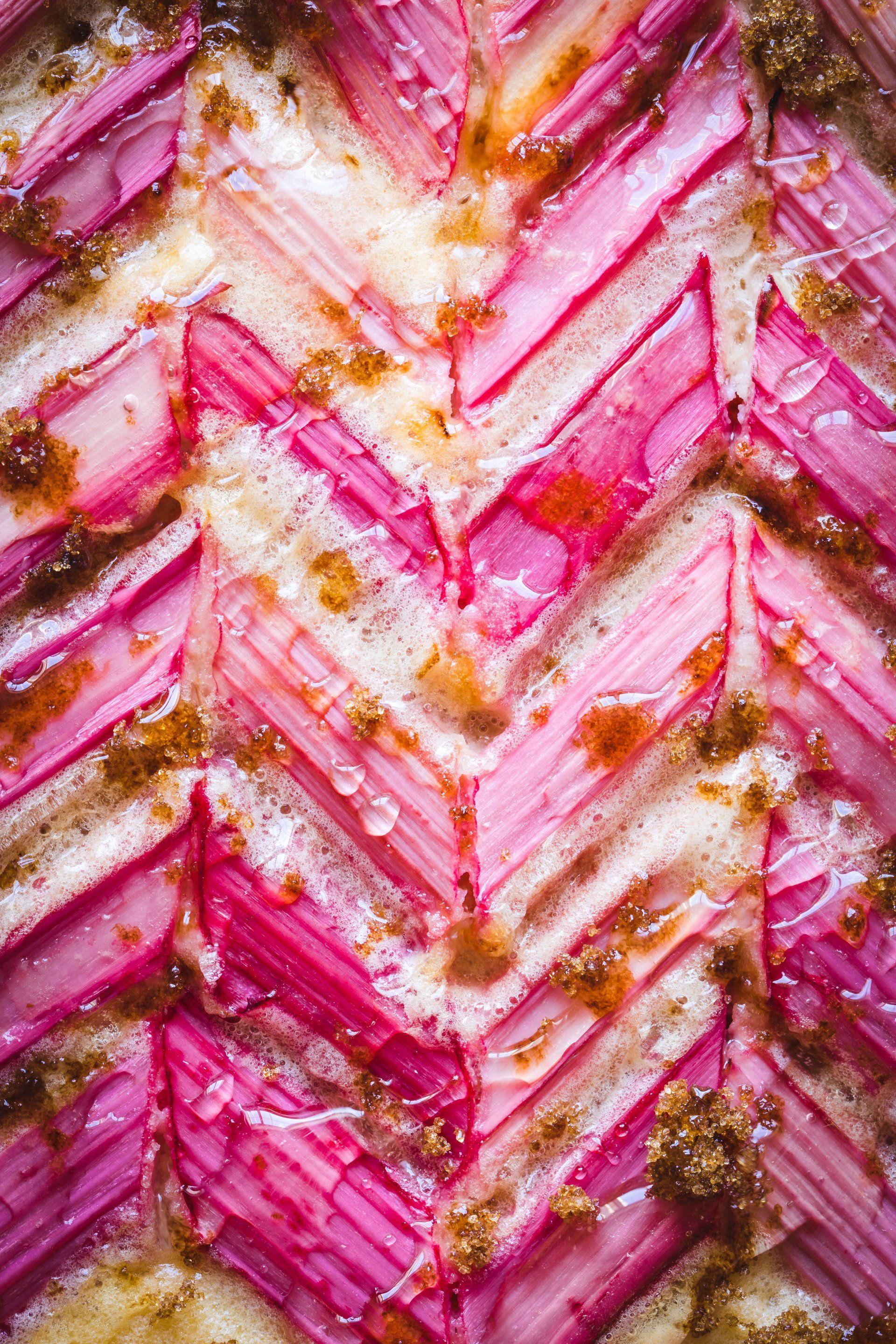 Food photography – Rhubarb tart