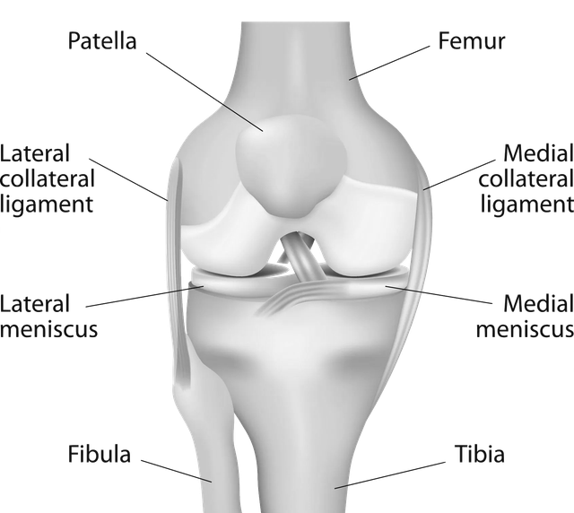 Meniscus Tears: Why You Should Not Let Them Go Untreated