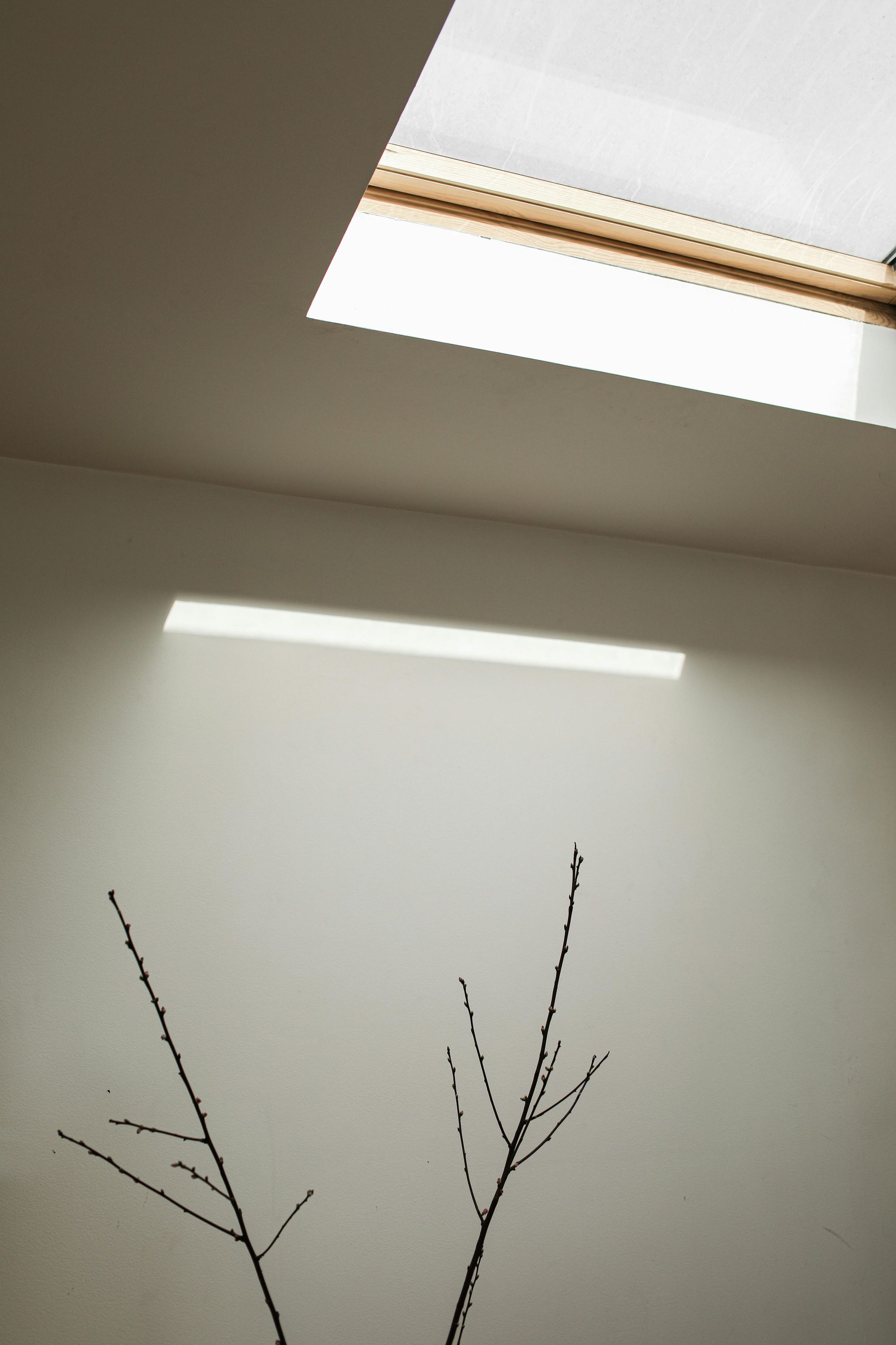A white wall with a skylight above it