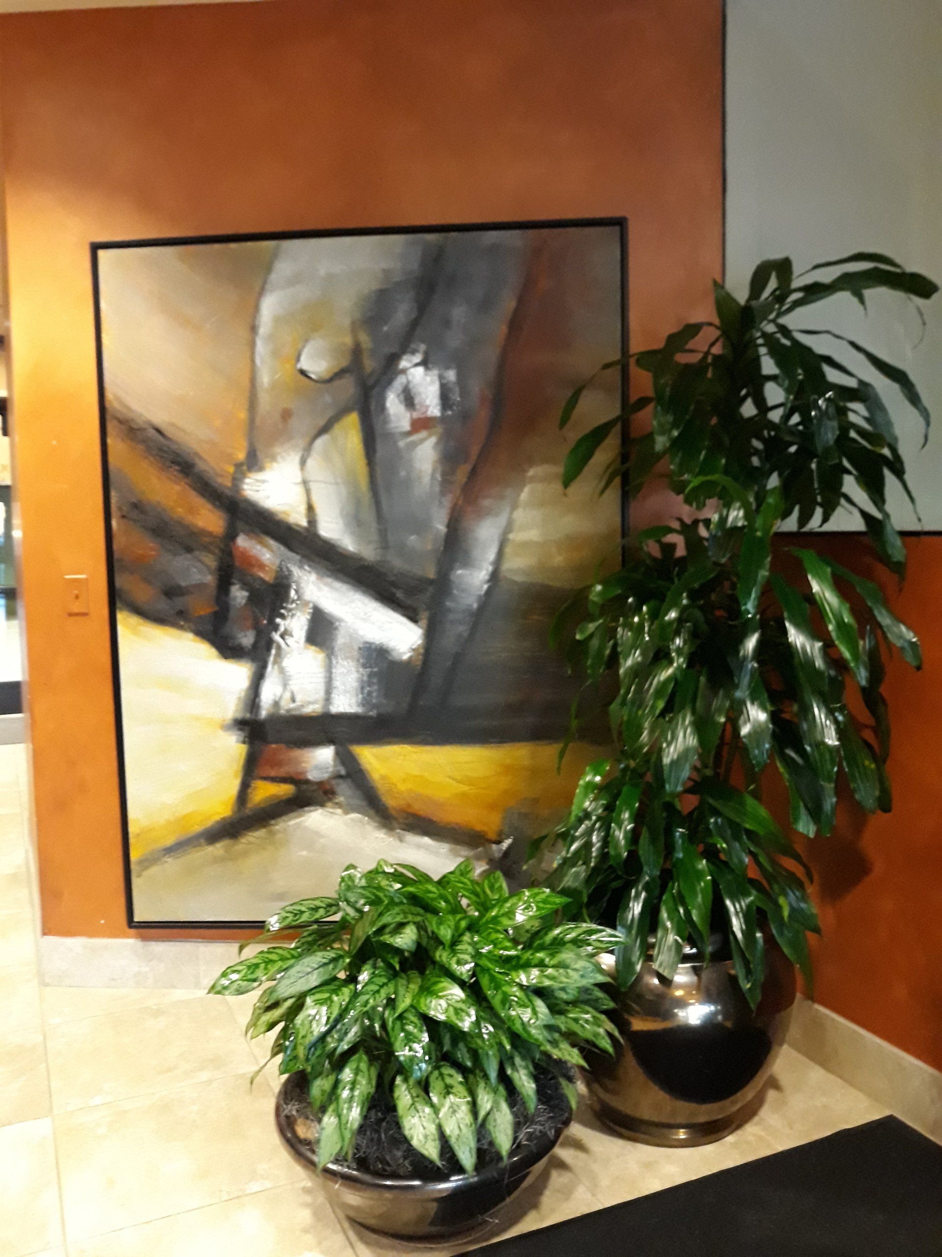 Tropical Indoor Plants and Painting | Healdsburg, CA | Santa Rosa Interior Plant Service