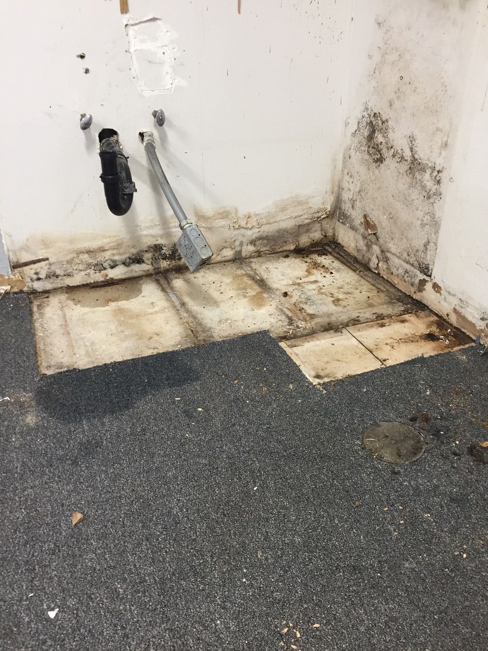 Moldy kitchen wall and floor showing water damage, missing tiles, and exposed pipes.