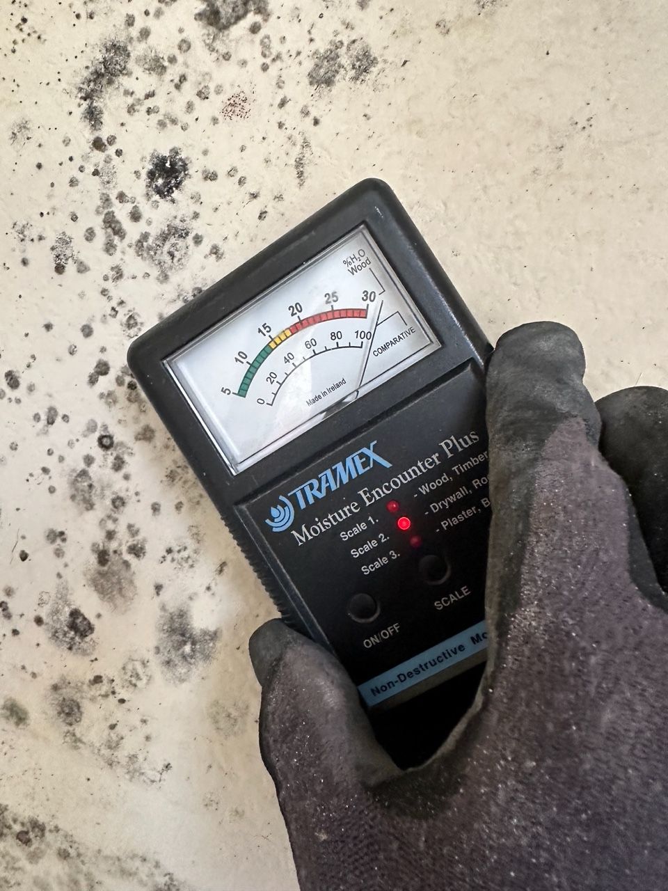 Gloved hand holding a moisture meter against a moldy surface, meter reading in the red zone.