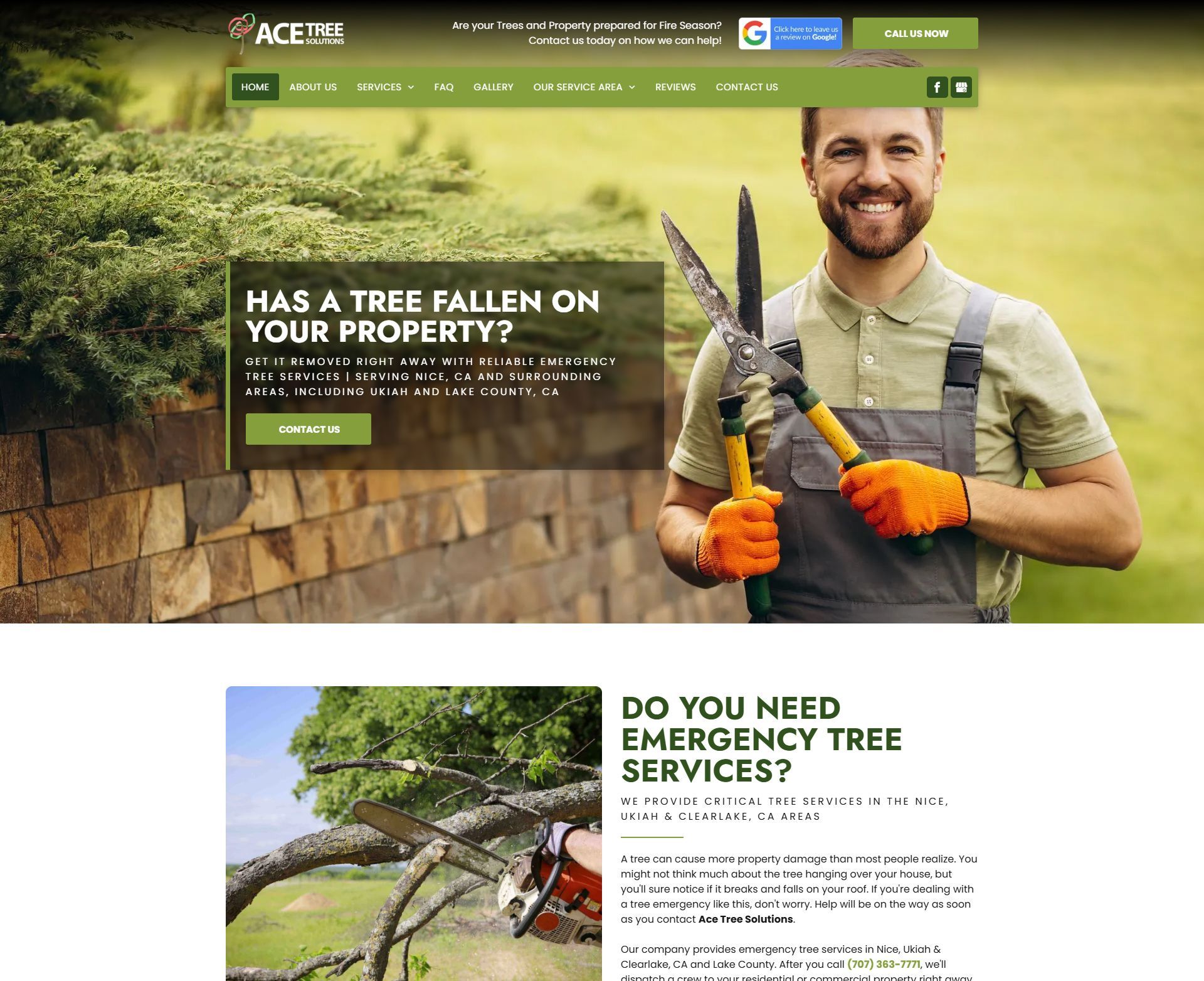 Ace Tree Solutions