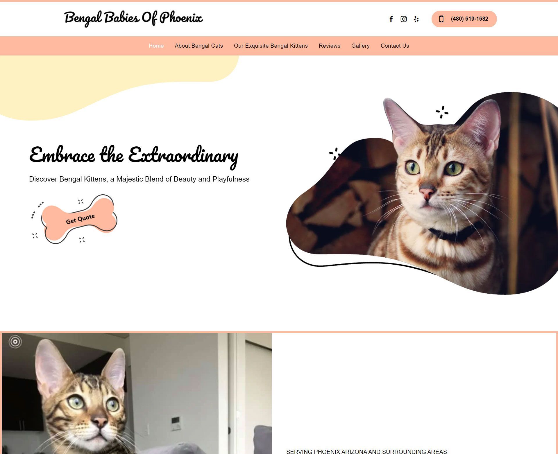 Engage Portfolio Bengal Babies Of Phoenix