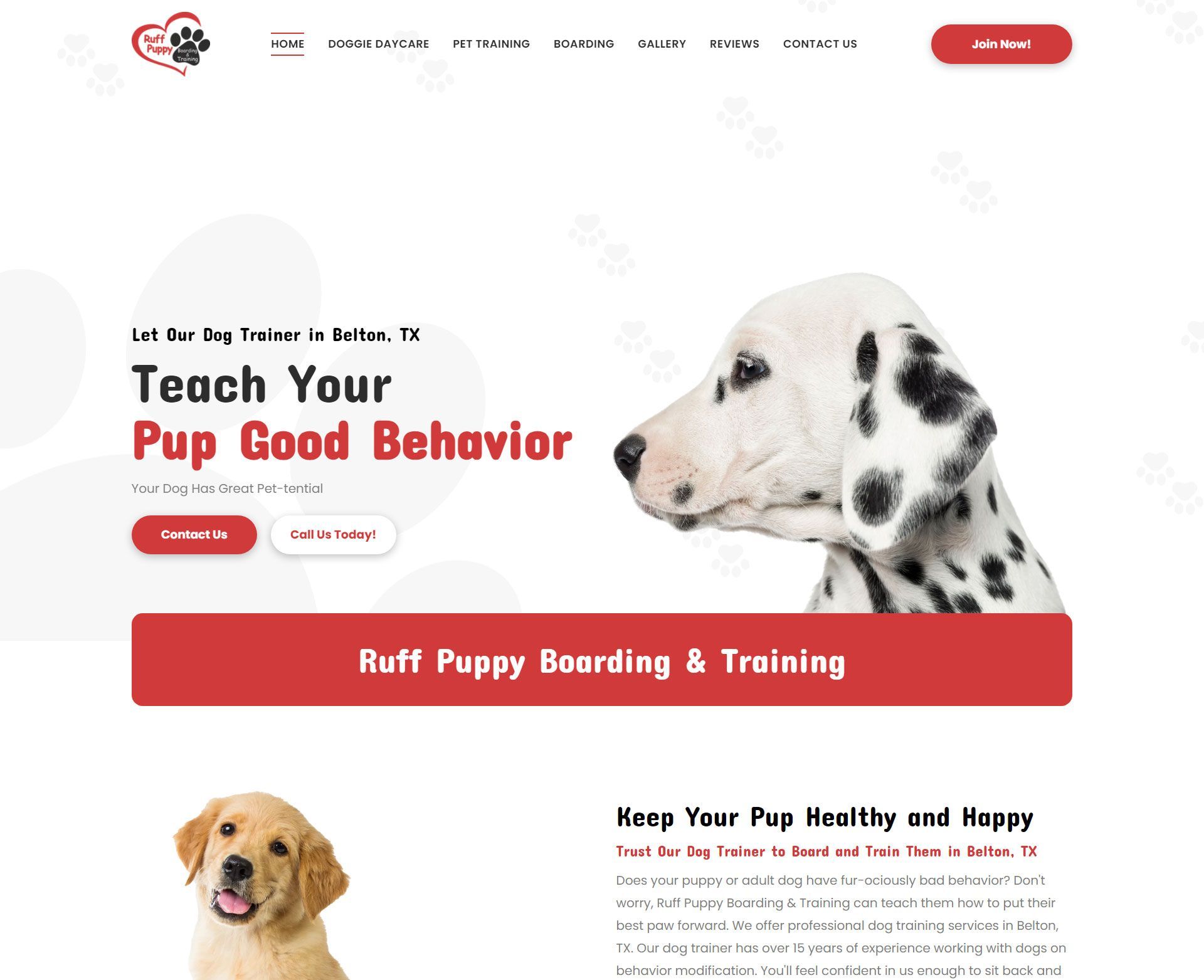 Engage Portfolio Ruff Puppy Boarding & Training