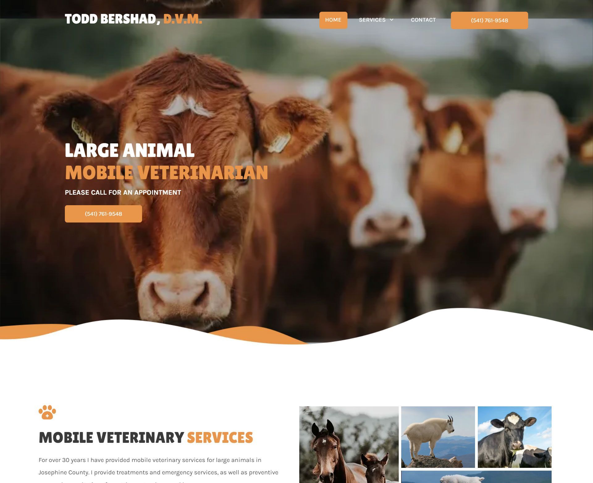 Engage Portfolio Todd Bershad, D.V.M.