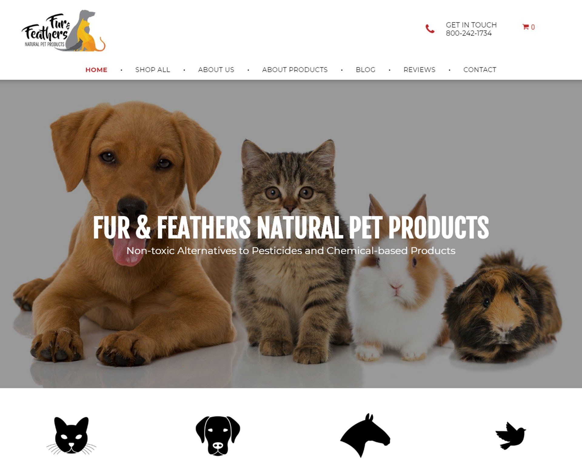 Engage Portfolio Fur & Feathers