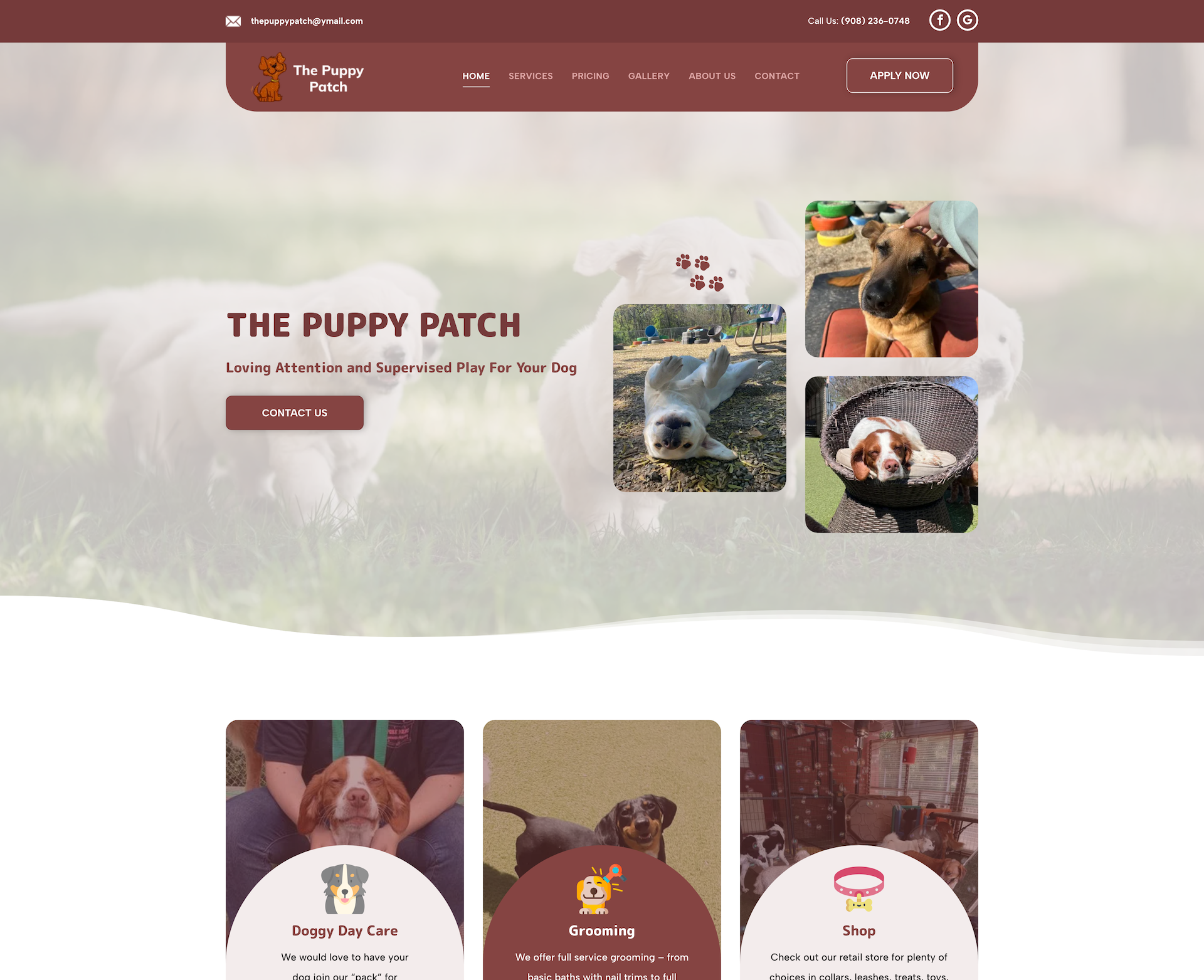 The Puppy Patch
