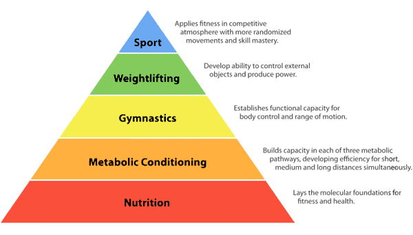 Paleo Pyramid Handout — Functional Health Research + Resources — Made Whole  Nutrition