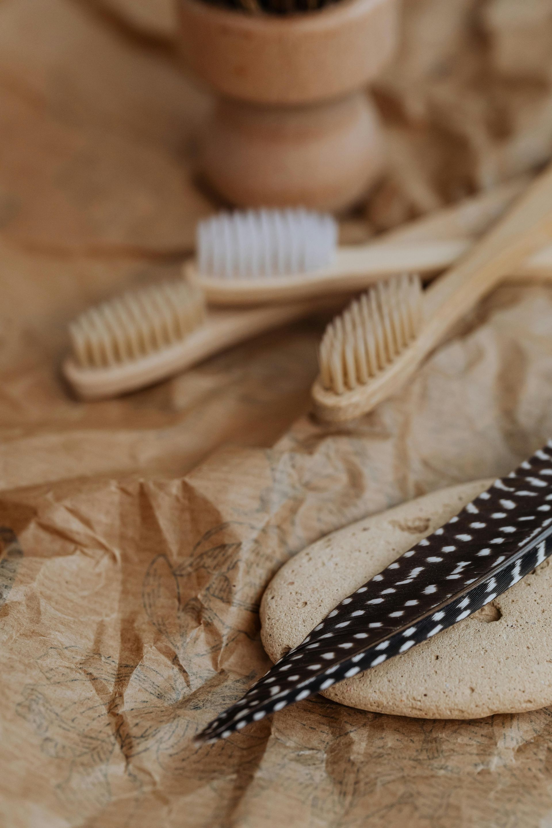 Three bamboo toothbrushes, small wooden bowl, and spotted feather on brown paper.