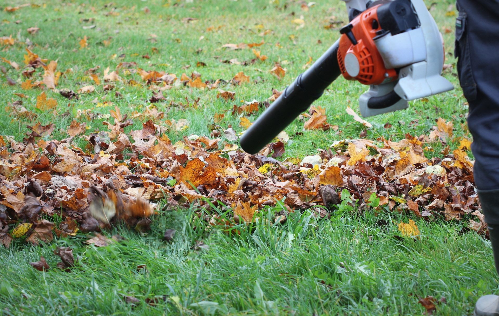 An orange and gray leaf blower held over a green lawn with fallen autumn leaves.