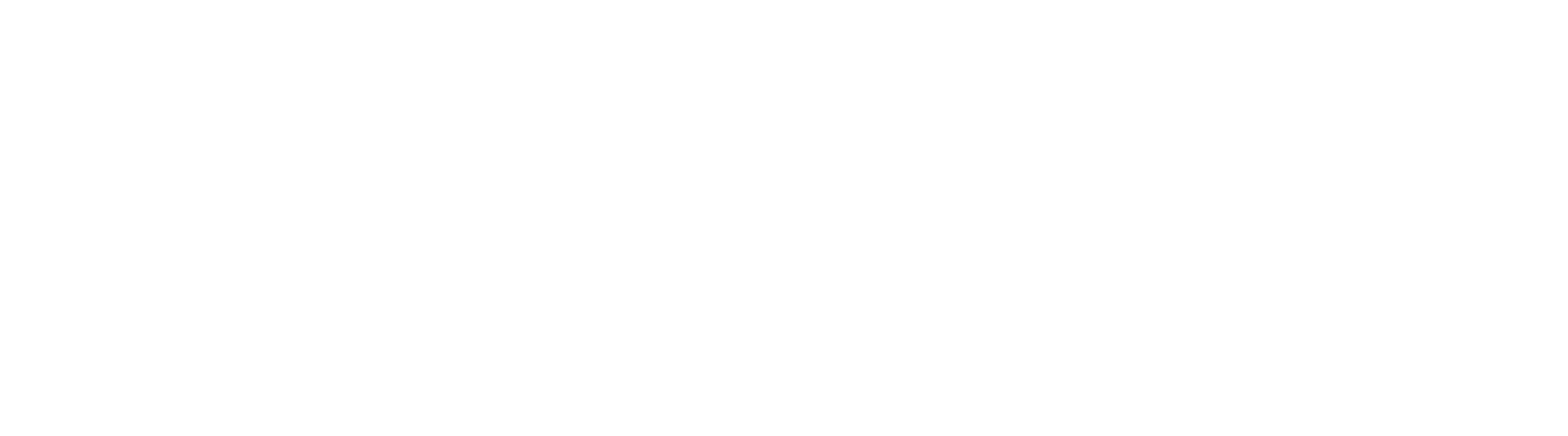 Zoltan the Plumber logo