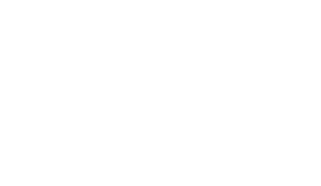 reliant roof pro logo