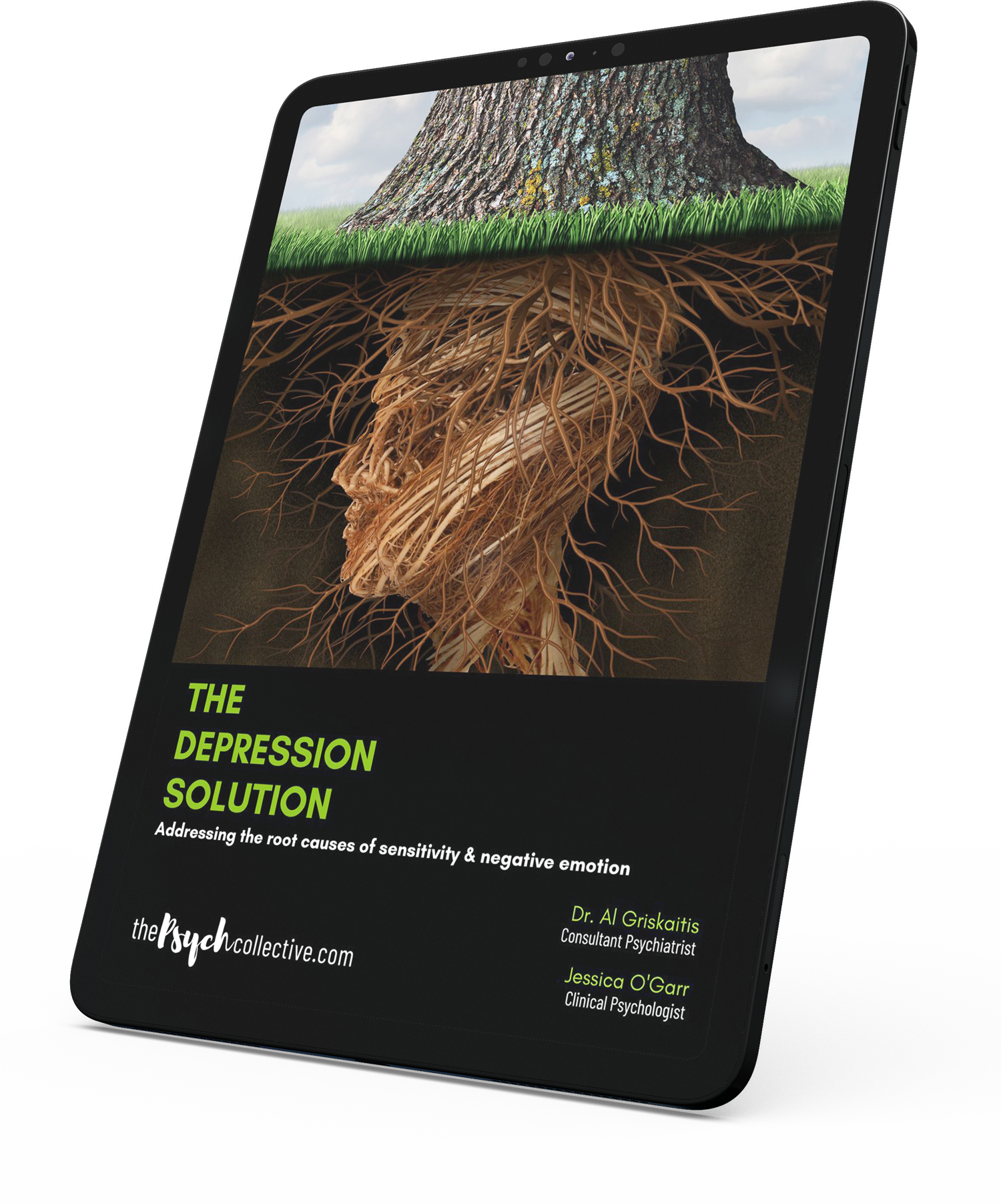 The Depression Solution eBook