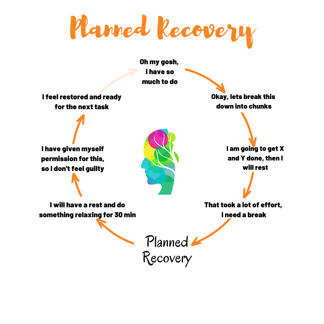Planned Recovery infographic