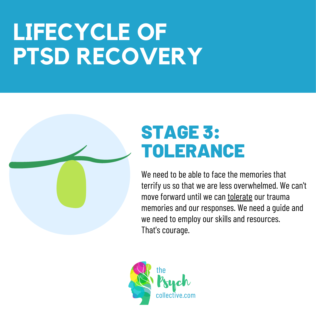 Lifecycle of PTSD Recovery handout