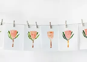 orange flower prints