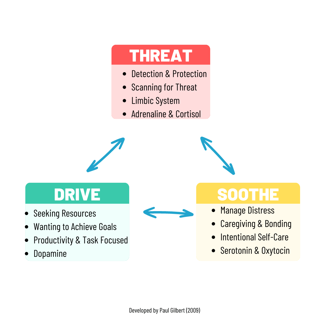 the Threat, Drive and Soothe Systems