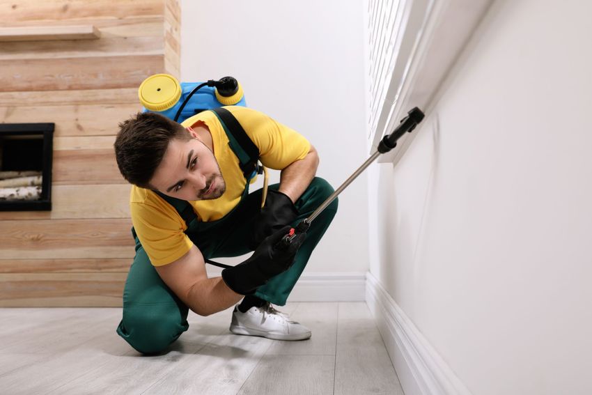 Exterminator in protective gear sprays baseboard indoors for pest control treatment