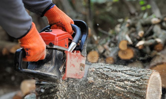 Person in orange gloves using a chainsaw to cut a wooden log.
