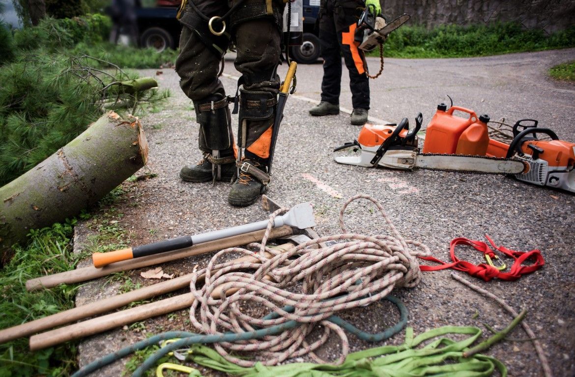 Two arborists removing a large fallen tree limb in a backyard.