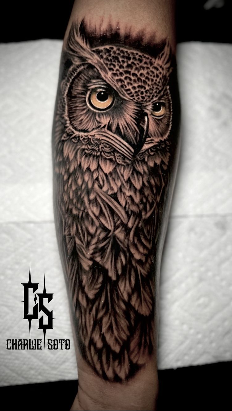 Realistic black and gray owl tattoo on a forearm. The owl has detailed feathers and a piercing gaze.
