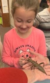 a little girl is holding a grasshopper in her hands .