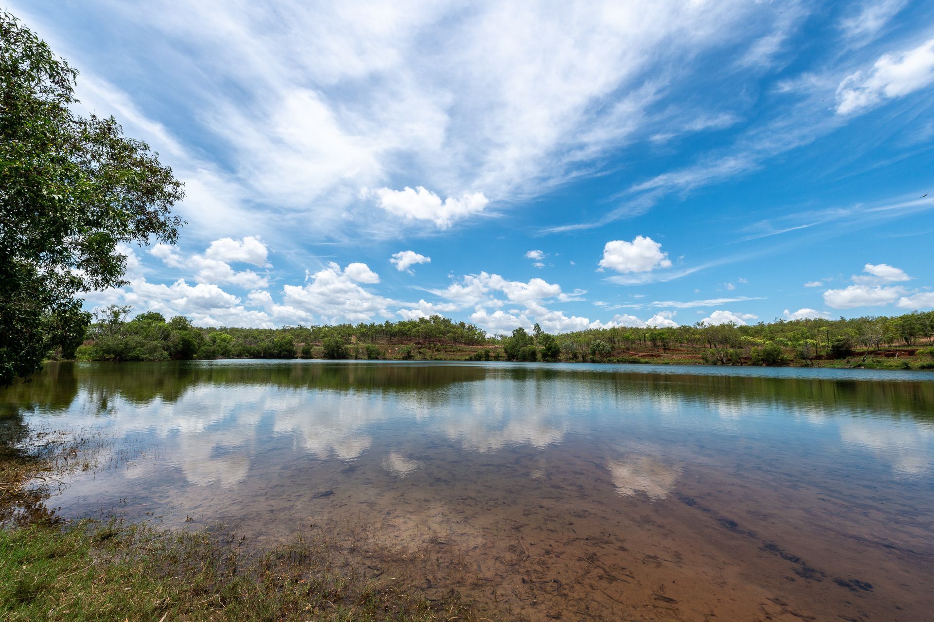 A large body of water surrounded by trees on a sunny day with clouds reflected in the water.