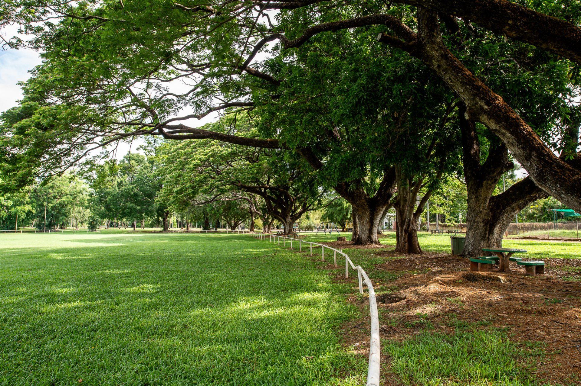 A lush green field surrounded by trees and a white fence.
