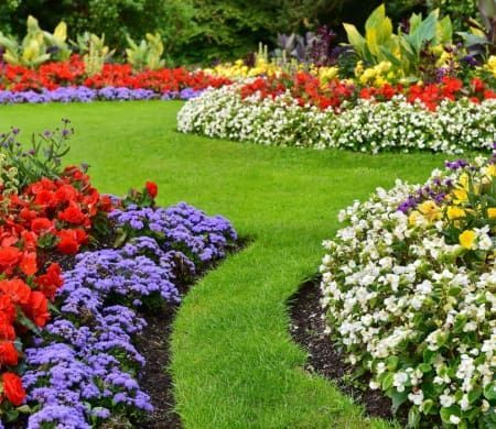 A garden filled with lots of colorful flowers and green grass