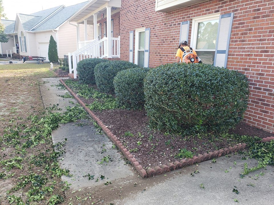 Gardener Shaping Plants