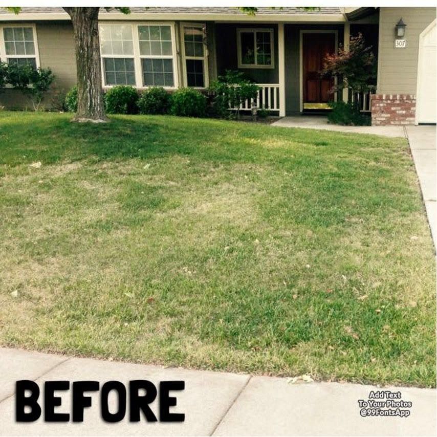 A Picture of A Lawn Before Being Mowed - Oroville, CA - JR Landscaping 