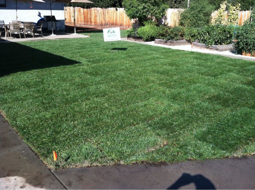 A Lush Green Lawn with A Sign - Oroville, CA - JR Landscaping 