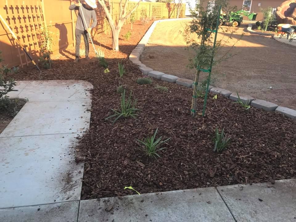 A Man Is Standing in A Garden Next to A Sidewalk - Oroville, CA - JR Landscaping 
