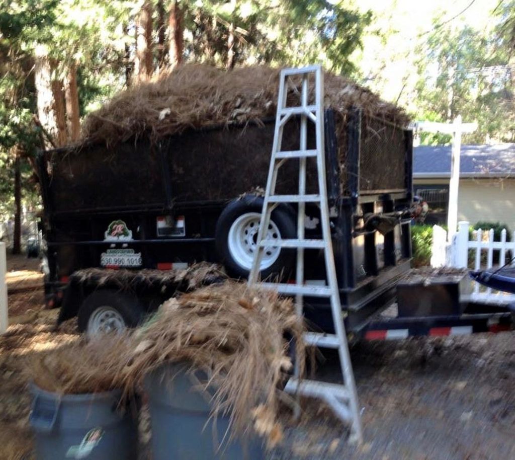 A Dumpster with A Ladder Attached to It - Oroville, CA - JR Landscaping 