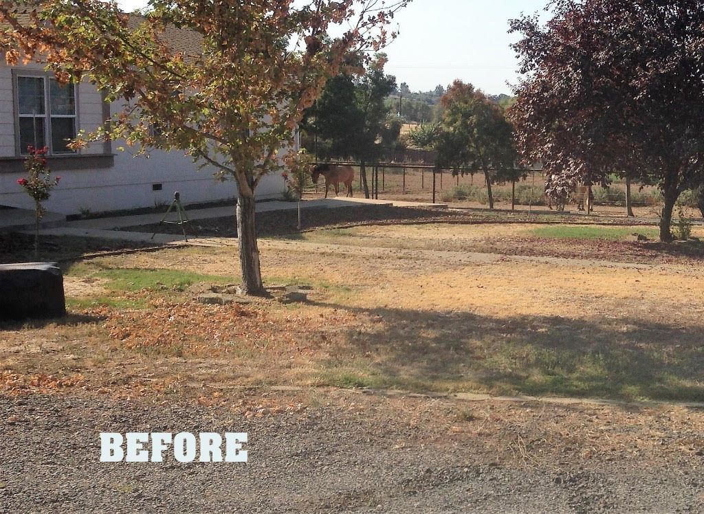 A Before Picture of A House with A Horse in The Background - Oroville, CA - JR Landscaping 