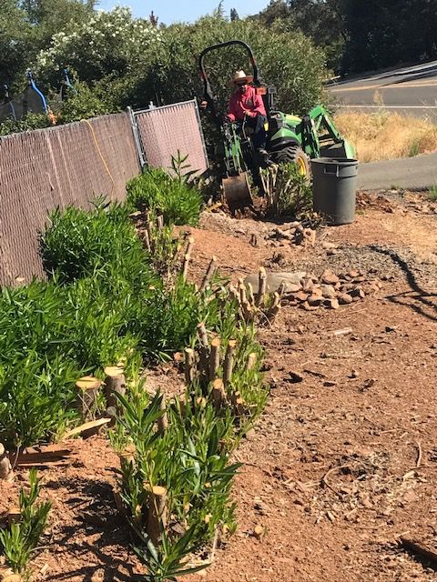 Lot Clearing & Demolition