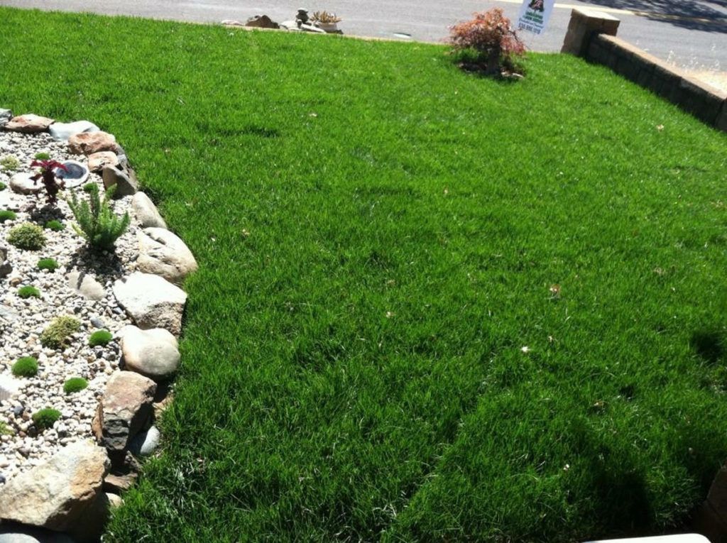 A Lush Green Lawn with Rocks and A Sign in The Background - Oroville, CA - JR Landscaping