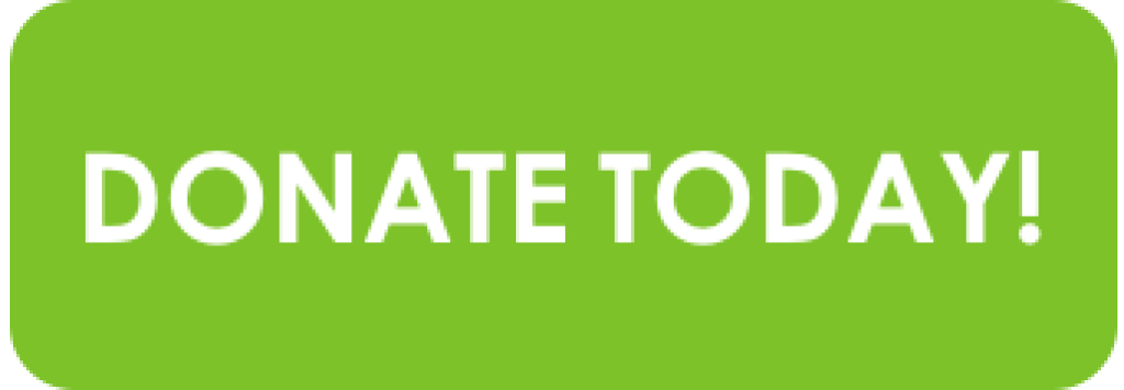 Contribute to our future - donate today!