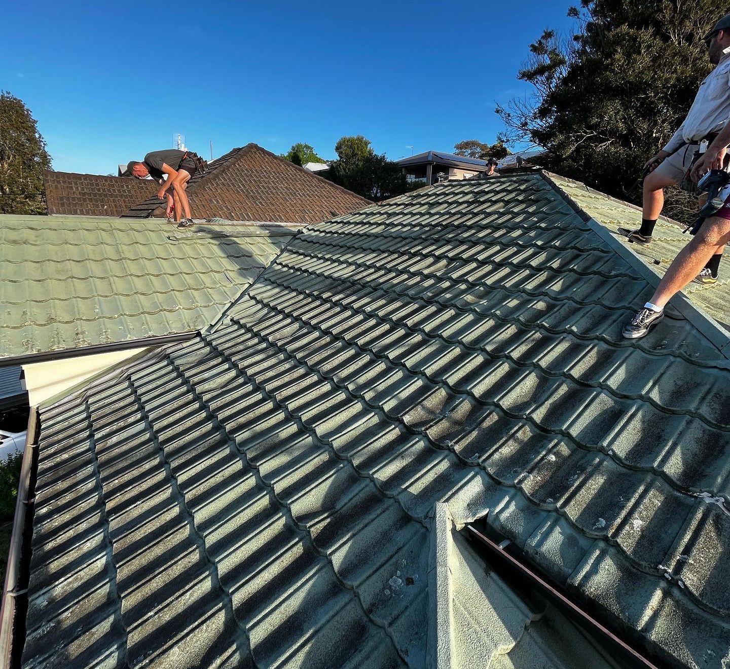 Workers on a Green Tiled Roof in a Sunny Setting — Roofing in Newcastle, NSW