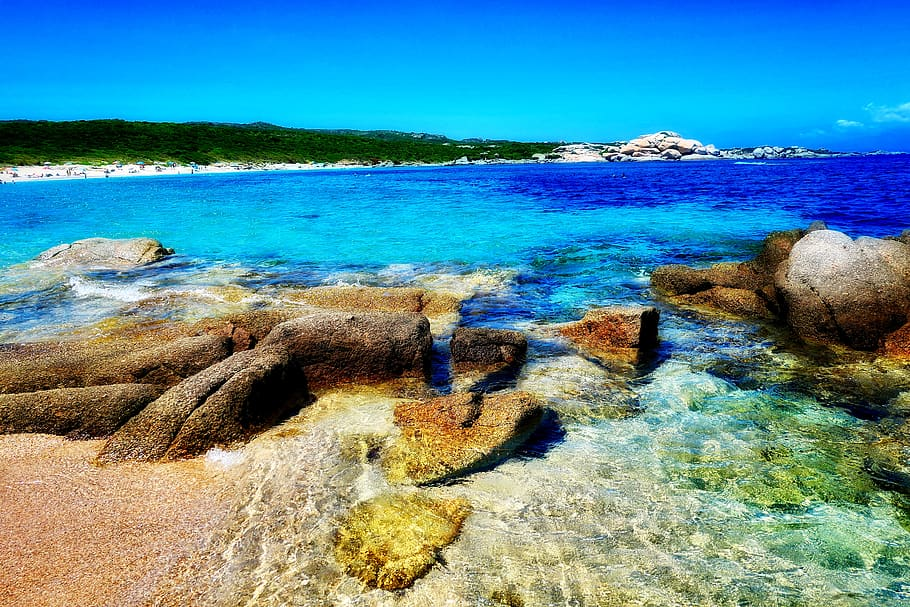 SARDINIA