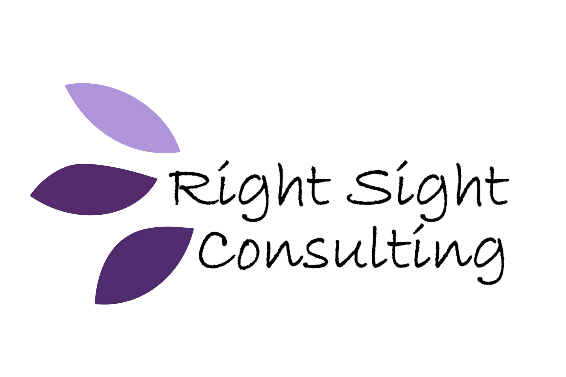 Right Sight Consulting